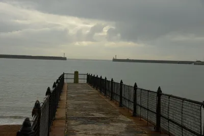 DSC_1289 (Large).JPG